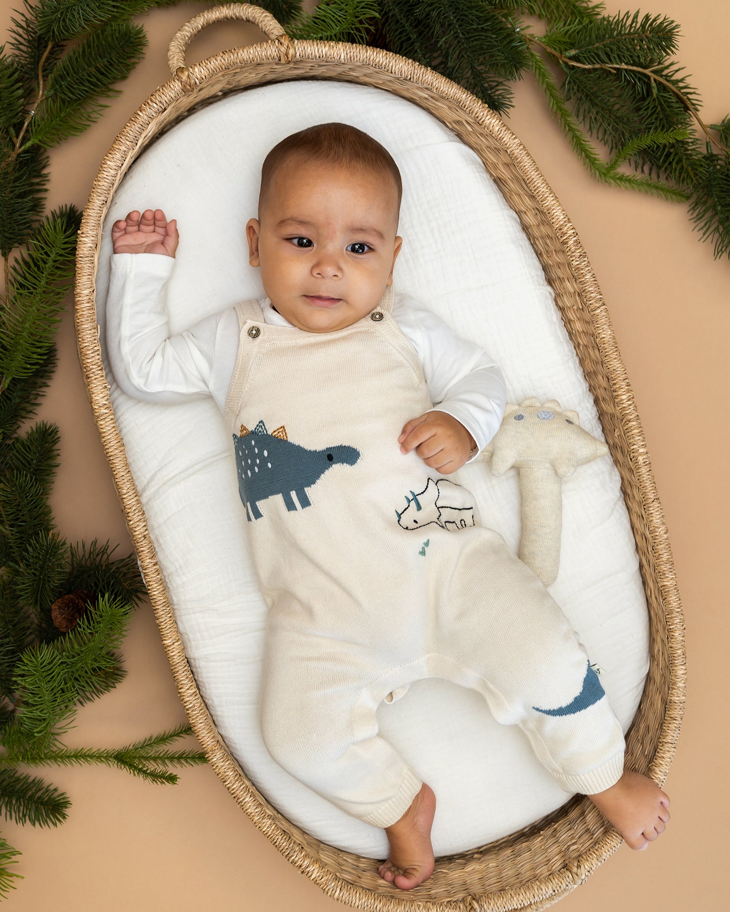 Dino Jacquard Knit Baby Overall Set (Organic)