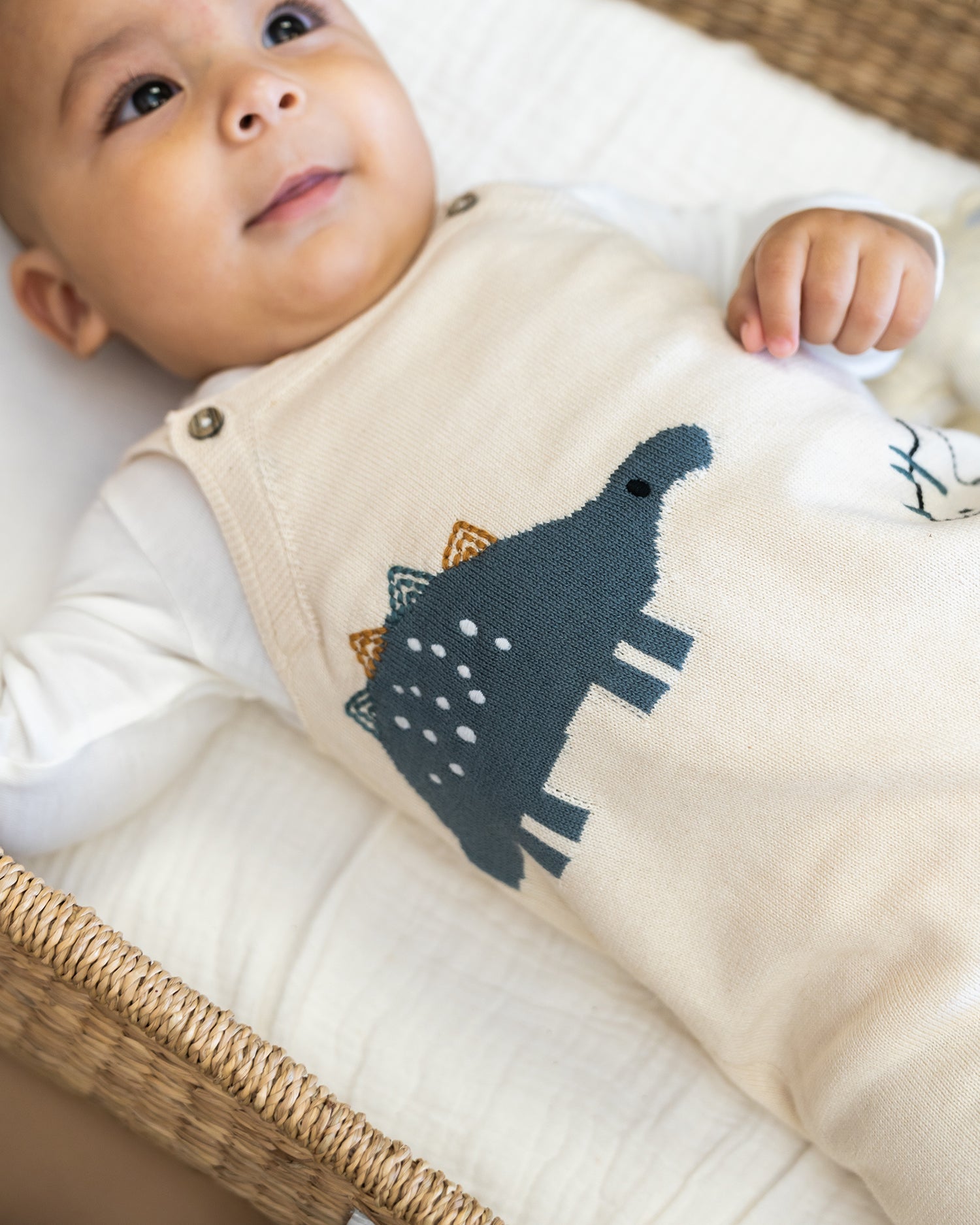 Dino Jacquard Knit Baby Overall Set (Organic)