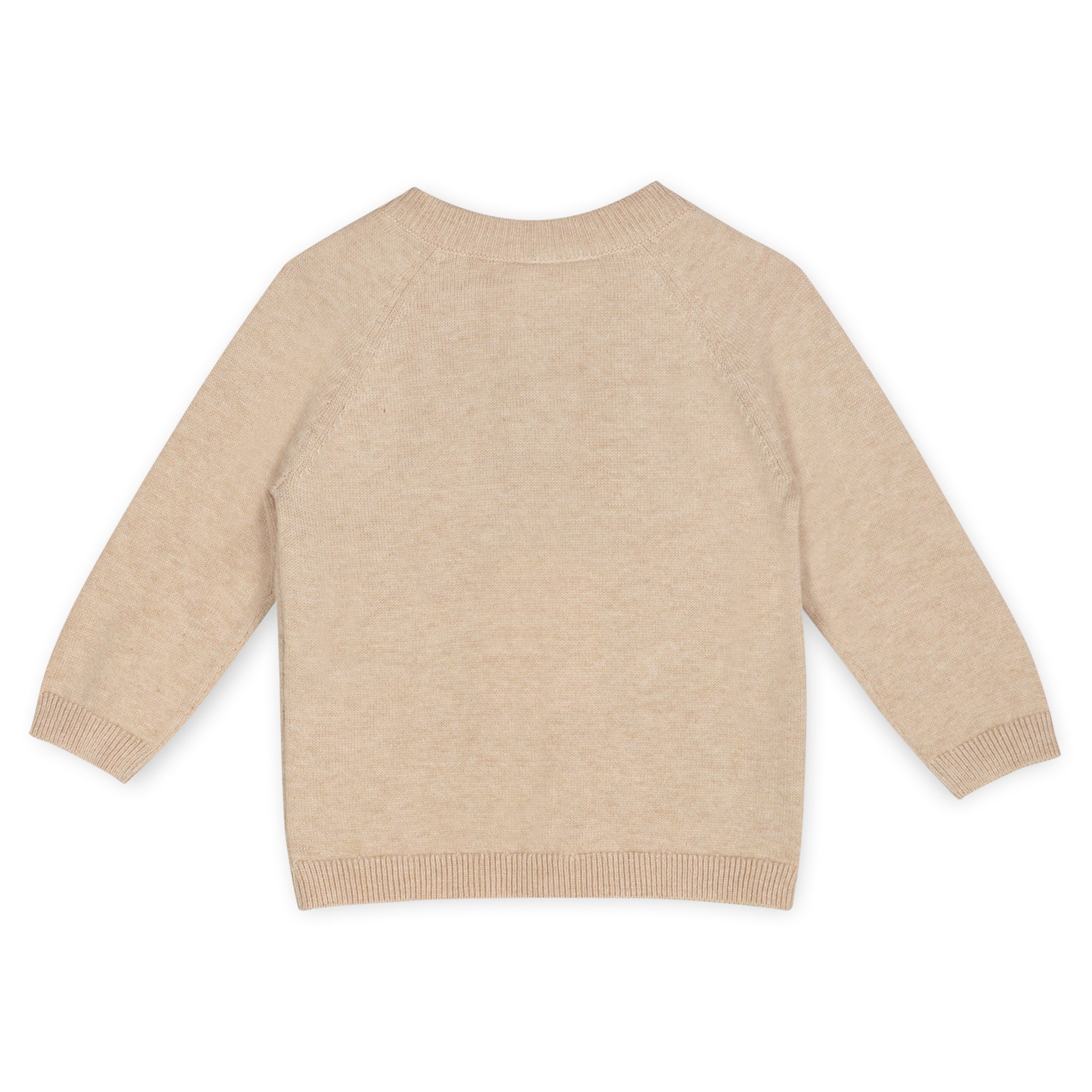 Doxie Dog Jacquard Knit Baby Raglan Pullover Sweater, Organic Cotton