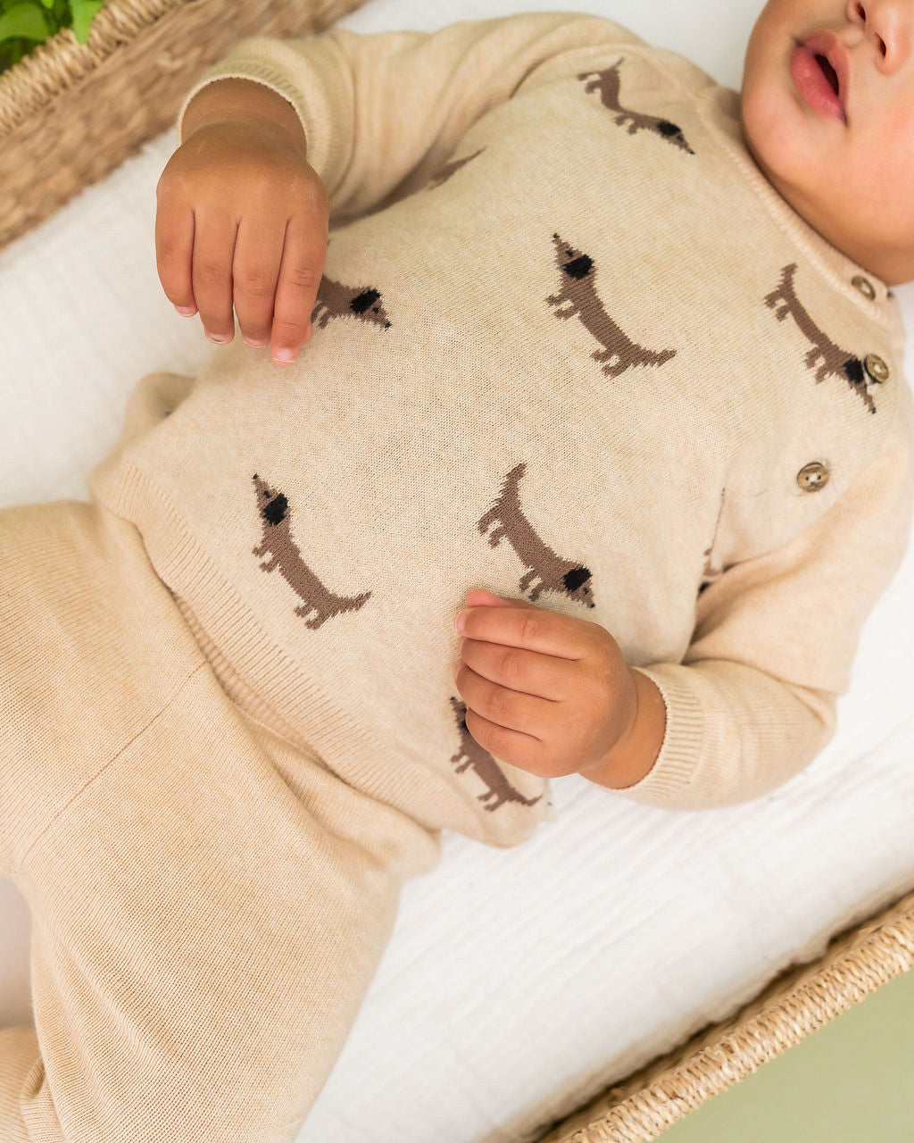 Doxie Dog Jacquard Knit Baby Raglan Pullover Sweater (Organic Cotton)