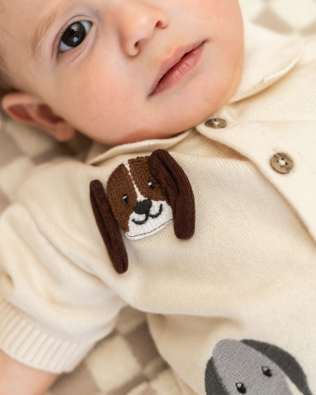 Doggy Embroidered Baby Shirt & Shorts Set (Organic Cotton) - Model