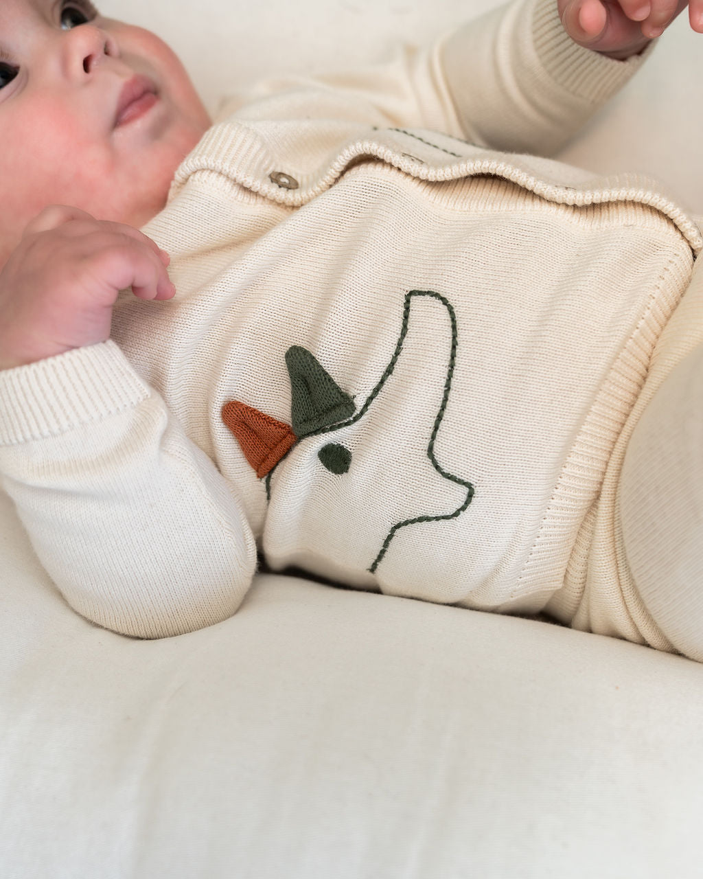 Dino 3D Embroidered Baby Knit Cardigan (Organic Cotton) - Model