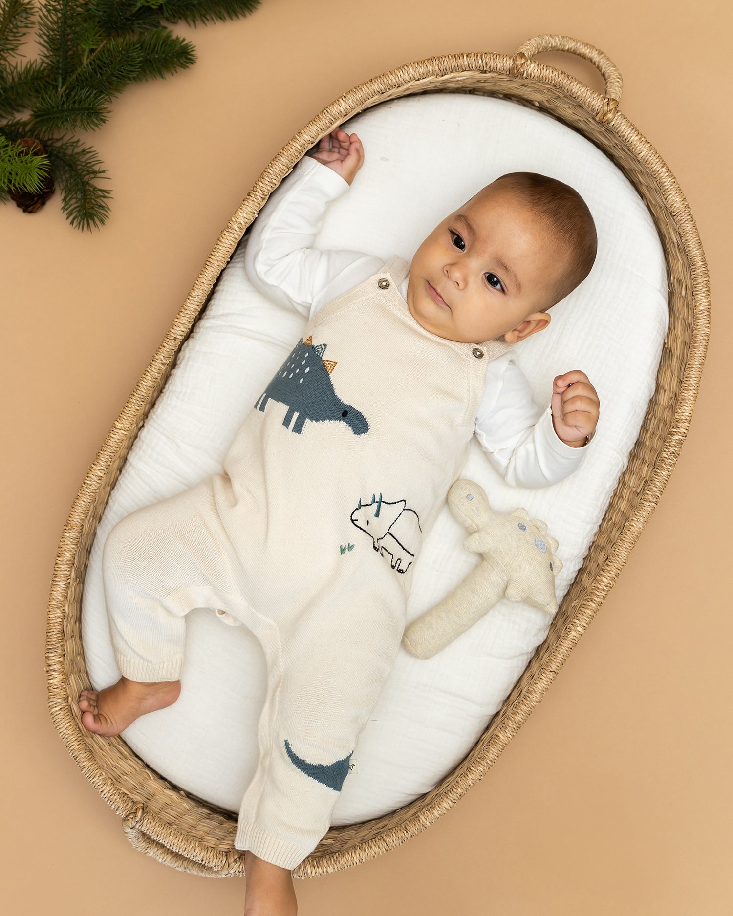 Dino Jacquard Knit Baby Overall Set (Organic)