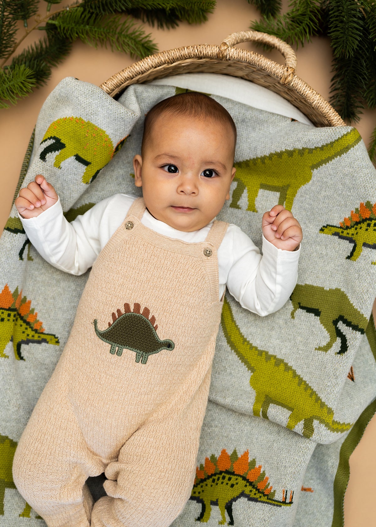 Green Dinosaur - Organic Cotton Jacquard Sweater Knit Baby Blankets