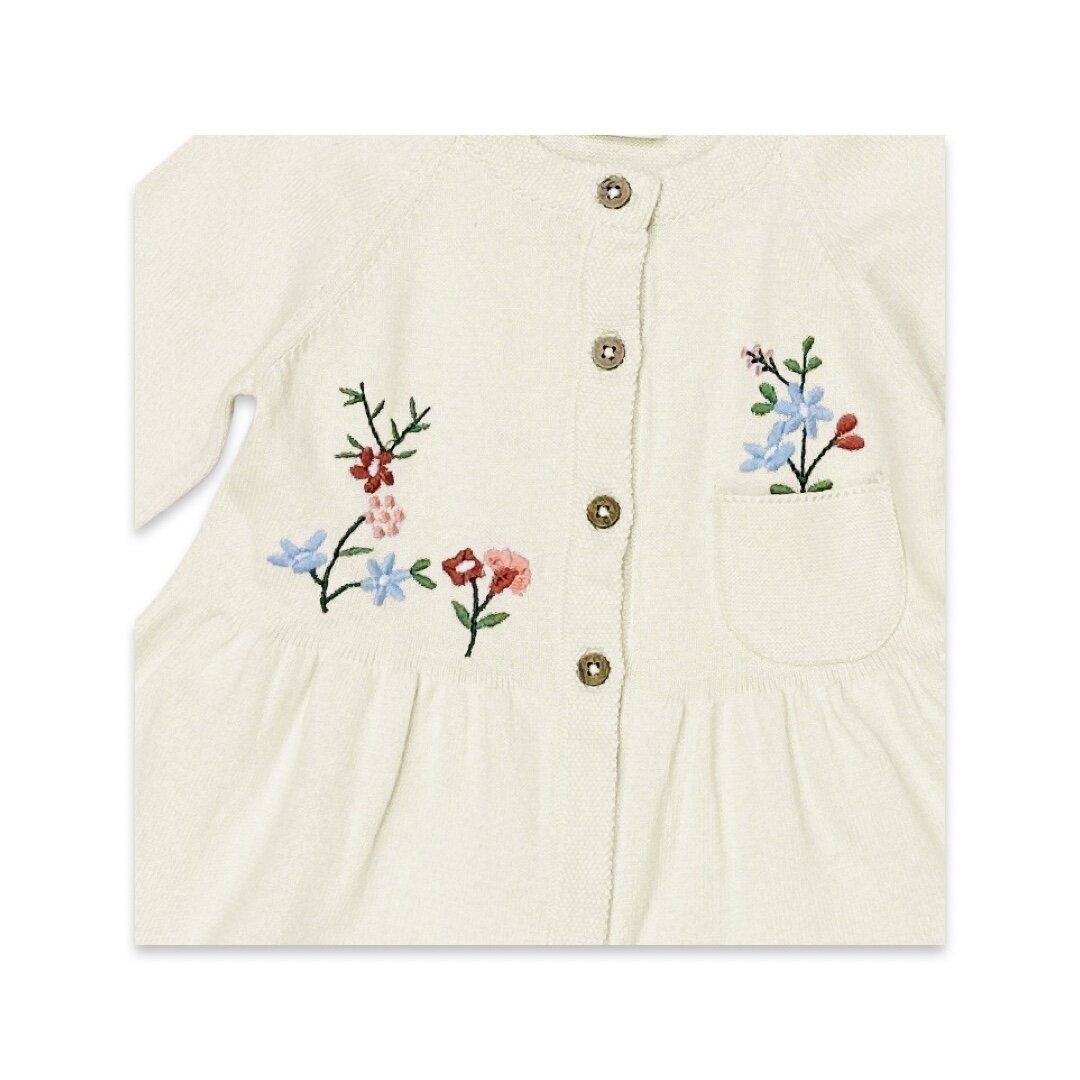 Floral Embroidered Baby Button-Front Ruffle Dress 