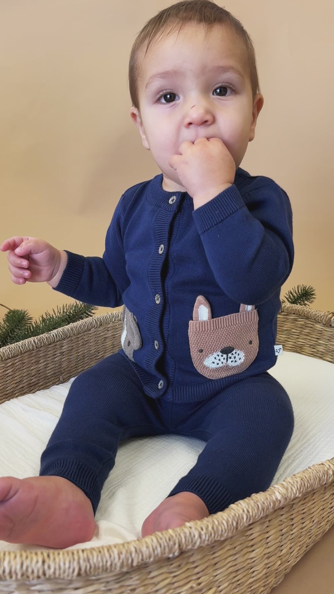 Dog Pocket Embroidered Sweater Knit Baby Cardigan (Organic Cotton)