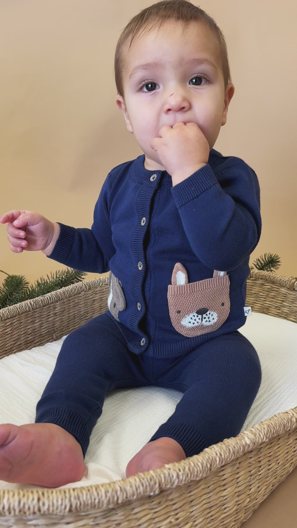Dog Pocket Embroidered Sweater Knit Baby Cardigan (Organic Cotton)